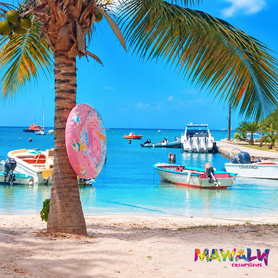 🍂 Octobre ailleurs… 🌴 Les Saintes ici. Pendant que l’automne s’installe doucement, ici, le bleu est…
