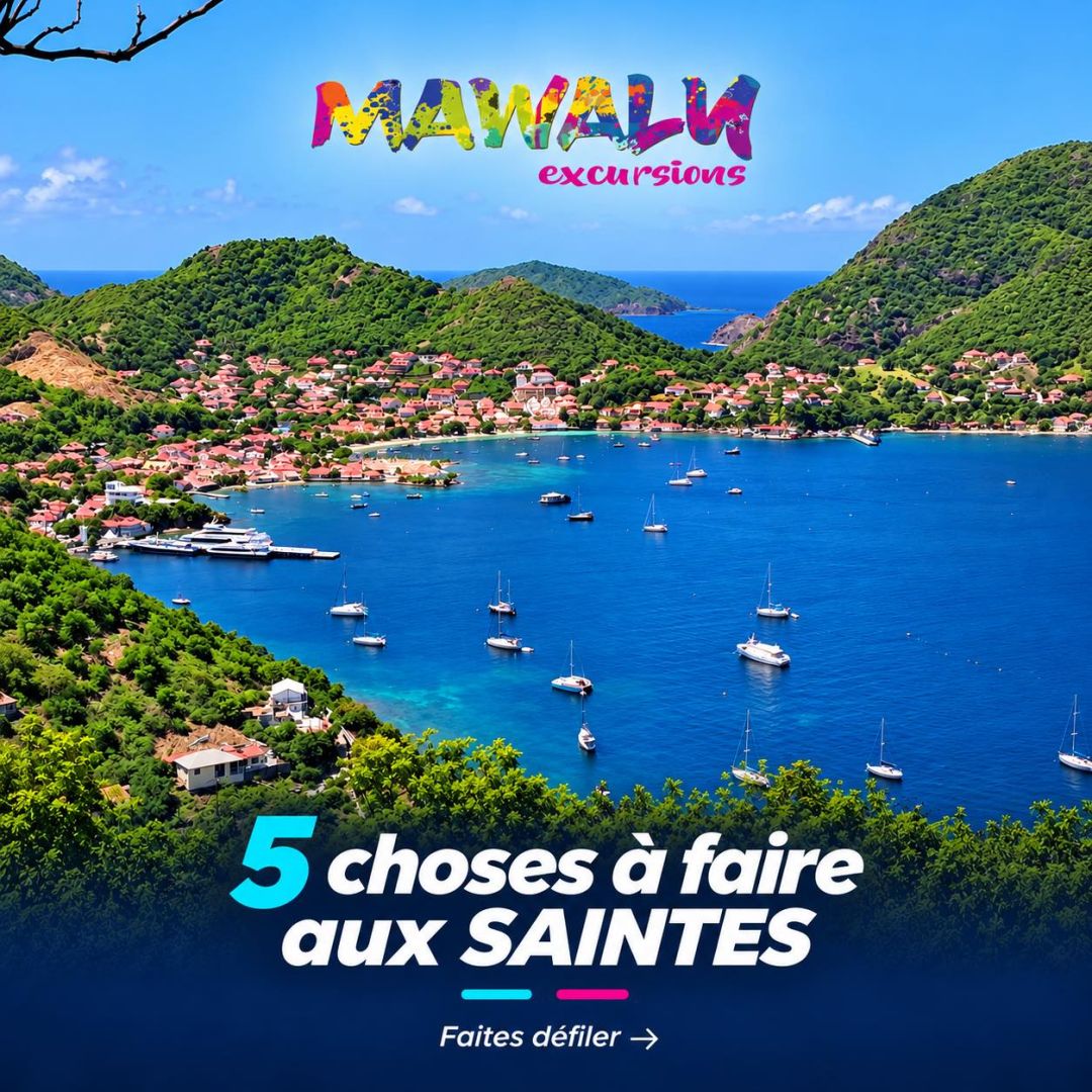 🌴 Et si vos plus beaux souvenirs commençaient aux Saintes ? Prendre de la hauteur au…