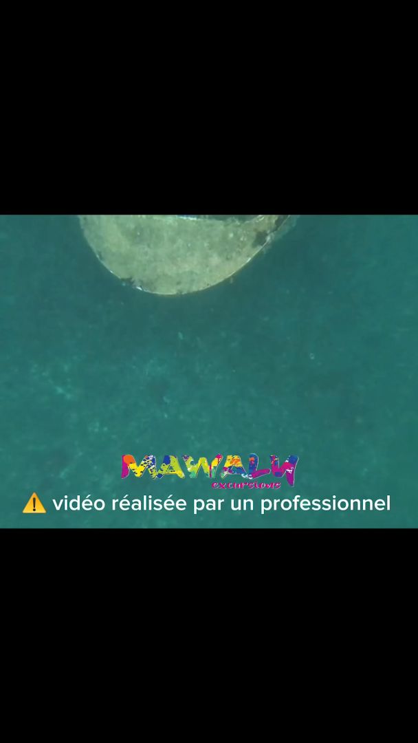 🌊 Et si les plus belles découvertes se cachaient sous la surface ? 🐠✨ Aux Saintes,…